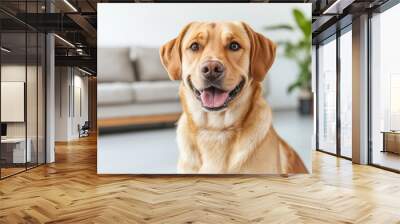 A cheerful dog sitting in a modern living room, showcasing its friendly personality and vibrant coat. Wall mural