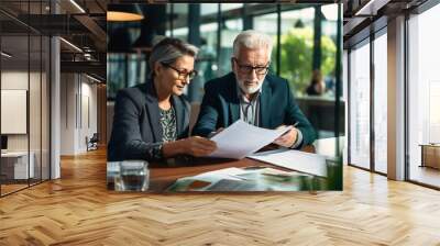 Two professional executives discussing financial accounting papers working together in office. Mature business woman manager consulting older man client holding legal documents at meeting Wall mural