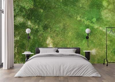 background texture image of grass Wall mural