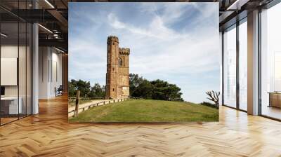 Leith Hill Tower Wall mural