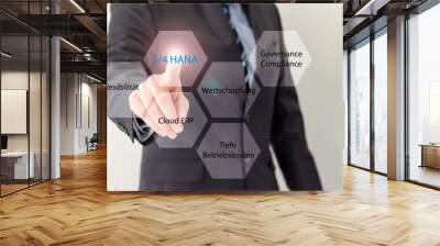 S/4 Hana Concept for advisor, new ERP technology  Wall mural