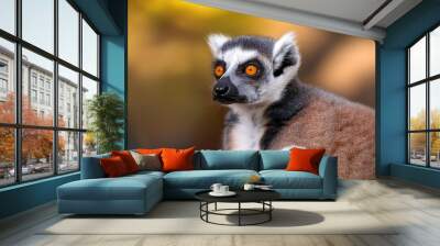 close up shot ring tailed lemur wildlife zoo photography madagascar Wall mural