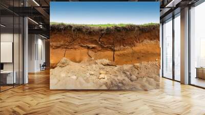 eroding soil subsoil and bedrock underground soil layer of cross section earth erosion ground ground cross soil eroding soil subsoil layer erosion section Wall mural