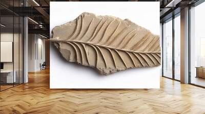 plant leaf fossil in stone isolated on white Wall mural