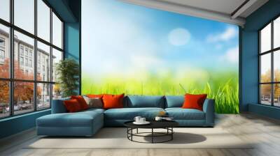 sunny spring meadow blur background blue sky to green grass gradient Wall mural