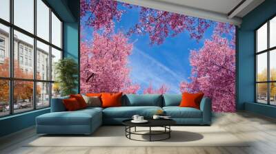 Cherry blossom trees in Flushing Meadows Corona Park at New York City Wall mural