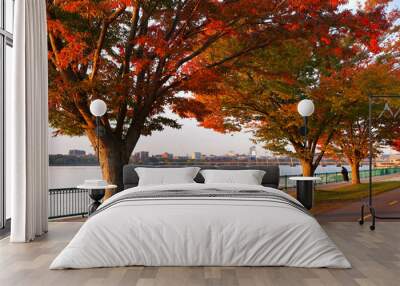 Boston Skyline in autumn showing  the Charles River at sunrise, Boston Massachusetts.  Wall mural