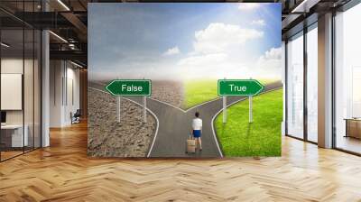 Businessman concept,  False or True road to the correct way. Wall mural