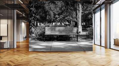 Black and white park bench Wall mural