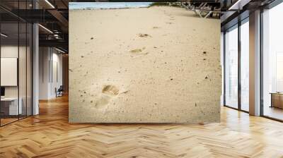 Foot prints in the sand Wall mural