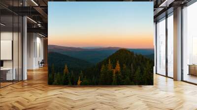 Mt Adams and Sleeping Beauty in the Gifford-Pinchot National Forest Wall mural