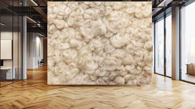 Sheep fur. Wool texture. Closeup background Wall mural