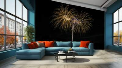 Fireworks Wall mural