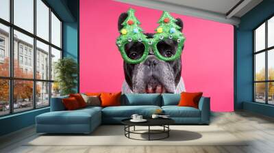 Gorgeous French bulldog dog with festive glasses 2021. Happy new year Wall mural