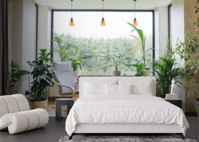 Cozy tropical home garden. Home gardening. Modern interior with indoor plants, monstera, palm trees. Urban jungle apartment. Biophilia design. Gardening, hobby concept Wall mural