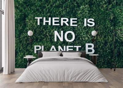 Inscription There Is No Planet B on moss, green grass background. Top view. Copy space. Banner. Biophilia concept. Nature backdrop Wall mural