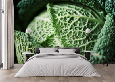 Raw green cabbage texture. Organic savoy cabbage background. Vegan and vegetarian diet concept Wall mural