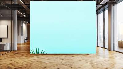 Tropical palm leaves on pastel turquoise background. Minimal summer concept. Creative flat lay with copy space. Top view green leaf on punchy pastel paper. Banner Wall mural