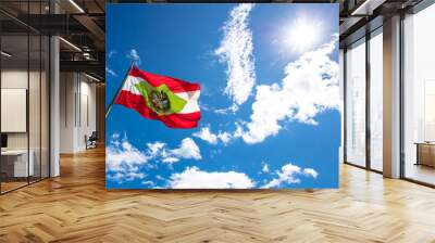 Closeup of Santa Catarina state flag in Brazil. Wall mural