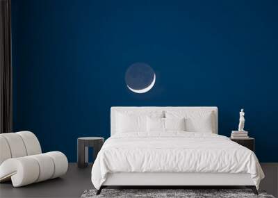 waning moon Wall mural