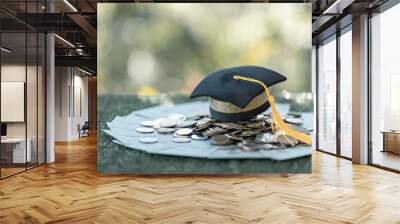 Graduation from college with university degree in finance marked successful culmination of education, envisioning value of each coin invested. coin, college, education, graduation, hat, school. Wall mural