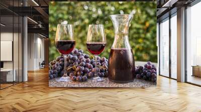 Two wine gasses with the carafe or decanter with red wine and fresh sweet riped red grapes behind on the stone table of garden restaurant in sunny autumn evening. Wall mural