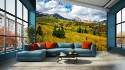 Fall in Colororado  Wall mural