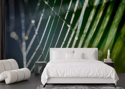 Abstract spider web background. Wall mural