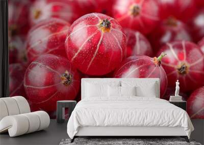 Close-Up of Ripe Gooseberries Wall mural