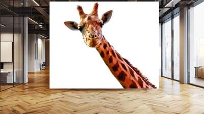 head of giraffe isolated on transparent background Wall mural