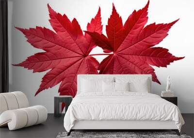 two red maple leaves isolated on transparent  Wall mural