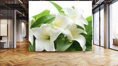 white lily flowers Isolated on transparent  background. border or banner . Wall mural