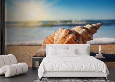 Marine ocean mollusk seashell sea summer beach seafood nature shell Wall mural