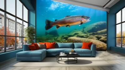 Trout underwater wildlife salmon wild fish animal river lake water freshwater nature Wall mural