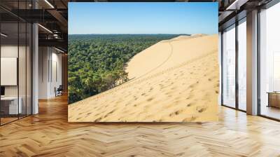 East side of the Dune du Pilat with a view on the Landes forest the largest maritime-pine forest in Europe Wall mural