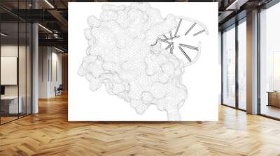 3D rendering as a line drawing of a molecule. Stepwise analyses of metal ions in RNase H catalysis from substrate destabilization to product release. Wall mural