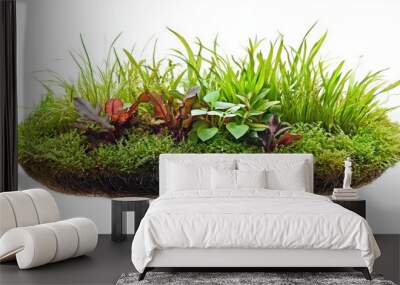 Lush green plants with various textures, perfect for enhancing indoor aesthetics and promoting a natural atmosphere. Wall mural