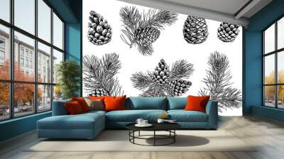 Pine branches and cones. Hand drawn vector illustration. Isolated elements for design. Wall mural