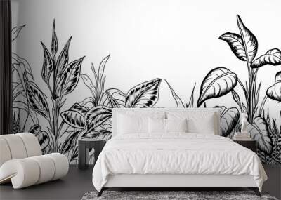 Seamless border with tropical plants. Black and white illustration. Hand drawn vector. Wall mural