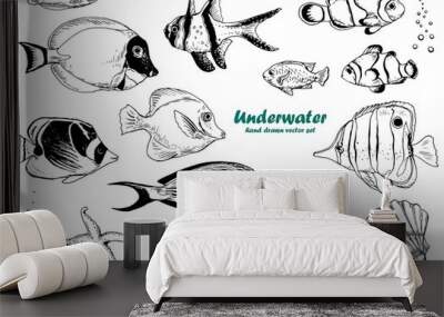 Set of tropical fishes, starfishes and shells. Black and white vector. Isolated elements for design. Wall mural