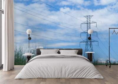 Steel high voltage pole and electric wire with white cloud and blue sky with green grass. Wall mural