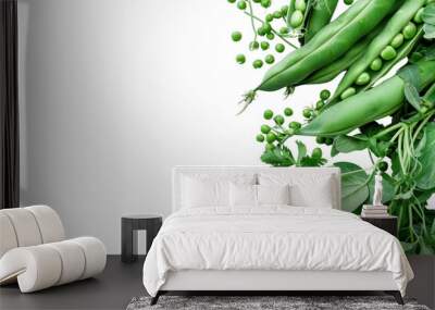 Fresh green vegetable pea pods and beans
.isolated on white background Wall mural