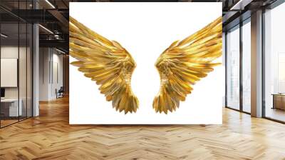 
Golden wings isolated on white background. Realistic daytime first person perspective Wall mural