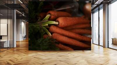 Closeup, carrot and food for health and cooking, wellness and nutrition with vegan or vegetarian meal prep. Orange vegetables, organic produce and cuisine with dinner or lunch ingredients for diet Wall mural