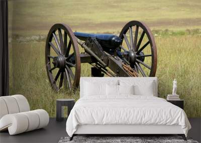 civil war cannon Wall mural