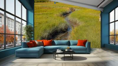 landscape with river Wall mural