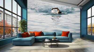 person swimming in water practicing open water swimming for triathlon Wall mural