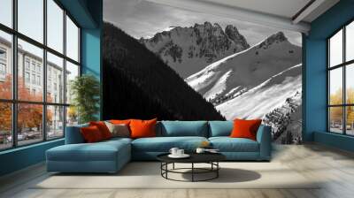 San Juan Mountains Colorado Wall mural