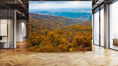 Beautiful autumn colors at Mount Magazine State Park. Wall mural