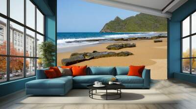 whitewash on tropical caribbean island with rocks on the beach Wall mural